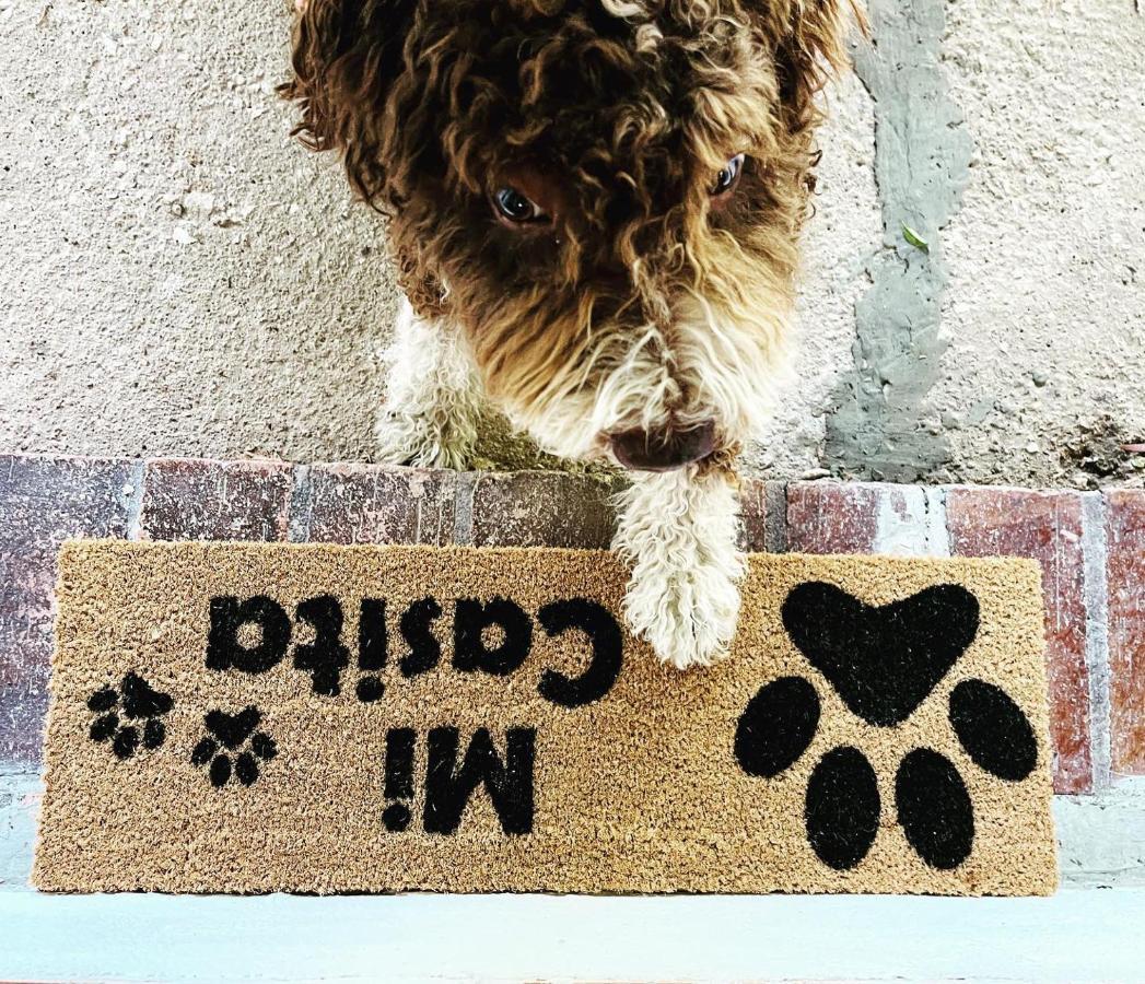 Casa Rural Con Piscina Viajar Con Mascota เกาซิน ภายนอก รูปภาพ